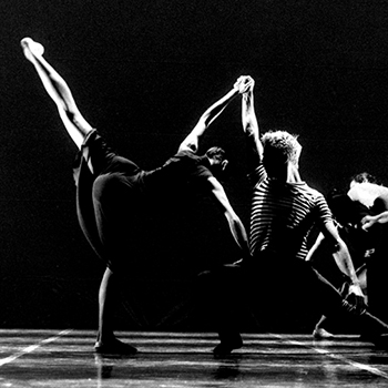 Colla parte | Neel Verdoorn